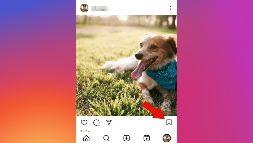 Instagramの画像・動画を保存する方法