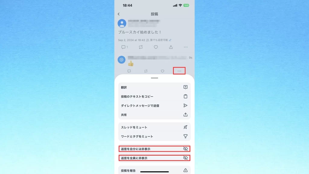 Blueskyの返信の非表示機能のスクショ画像